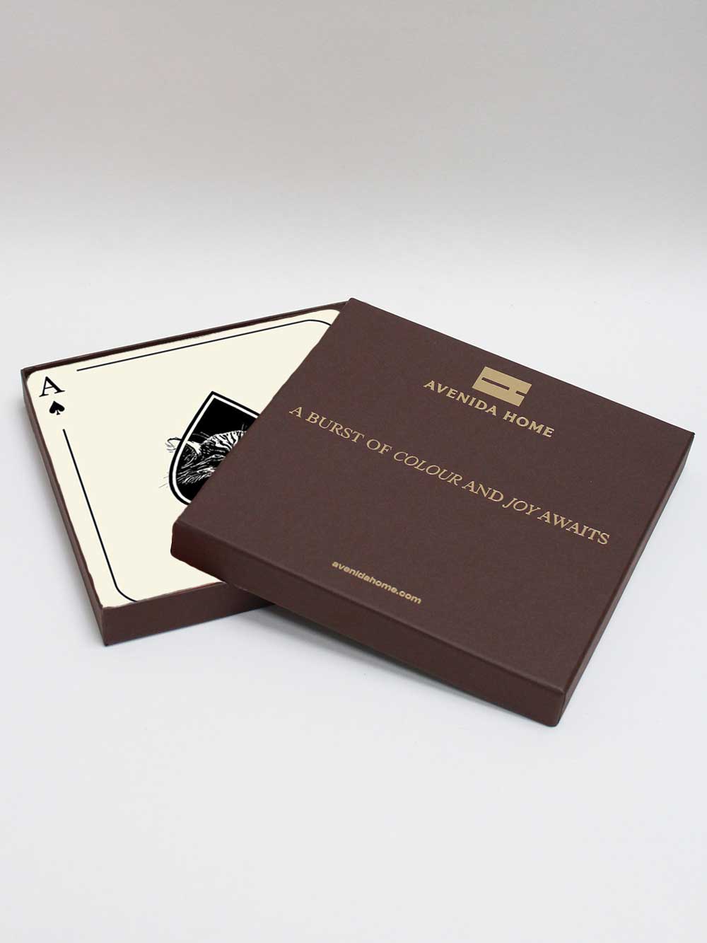Ace Set of 4 Placemats