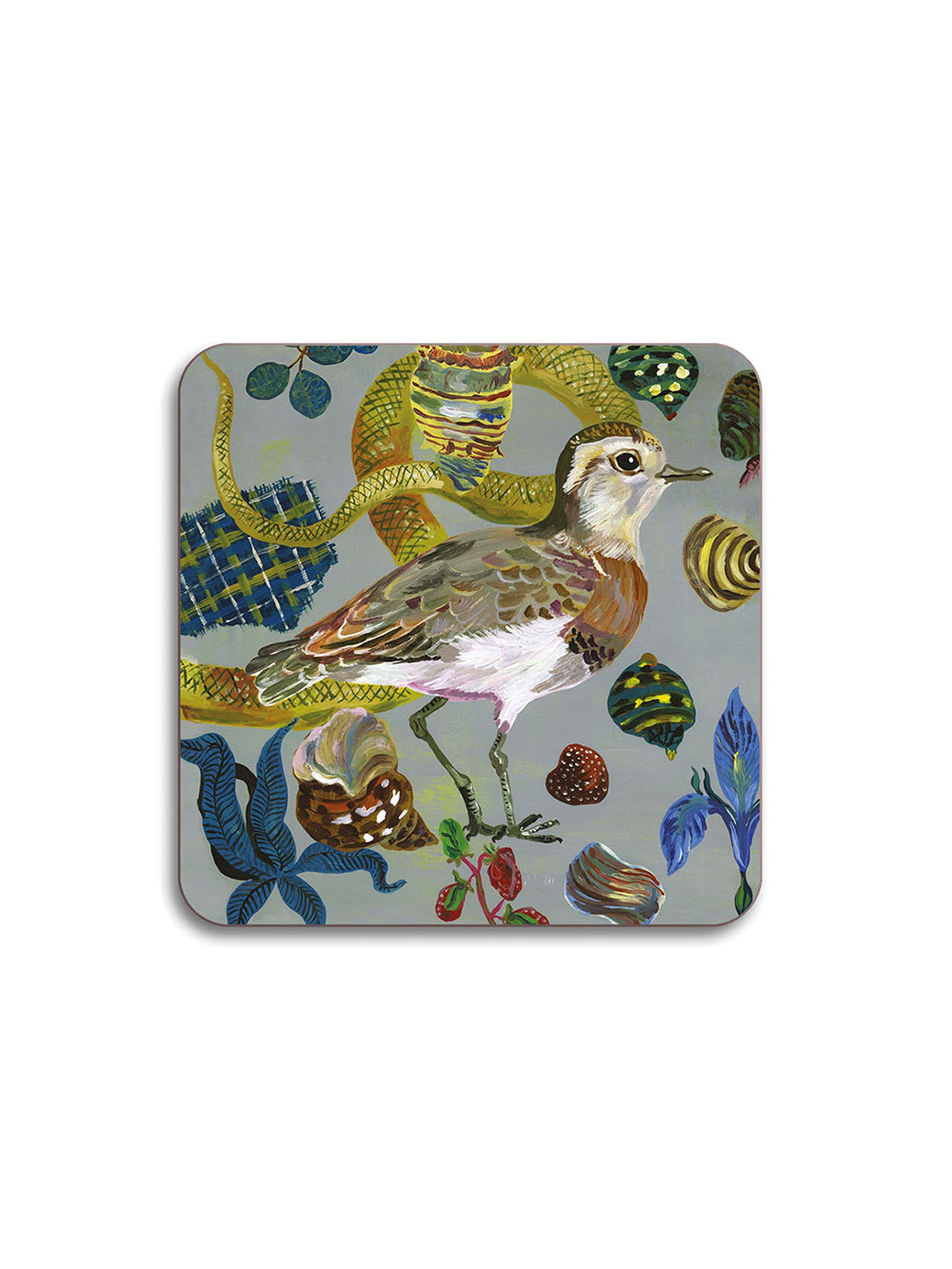 Caspian Plover Coaster