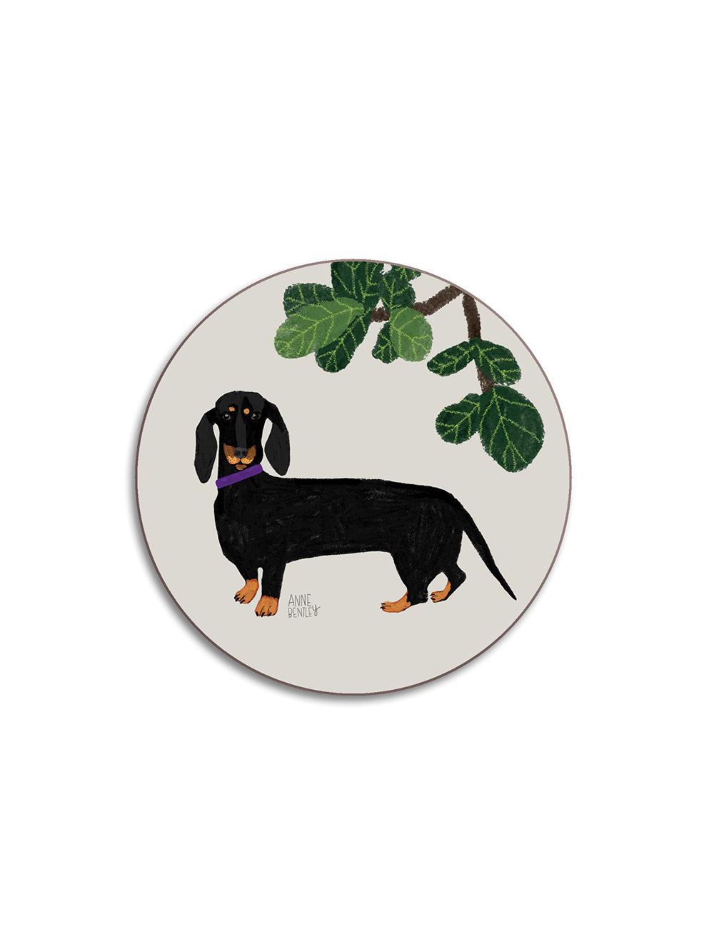 Dogs Dachshund Coaster