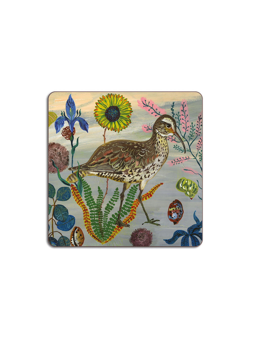 Eskimo Curlew Coaster