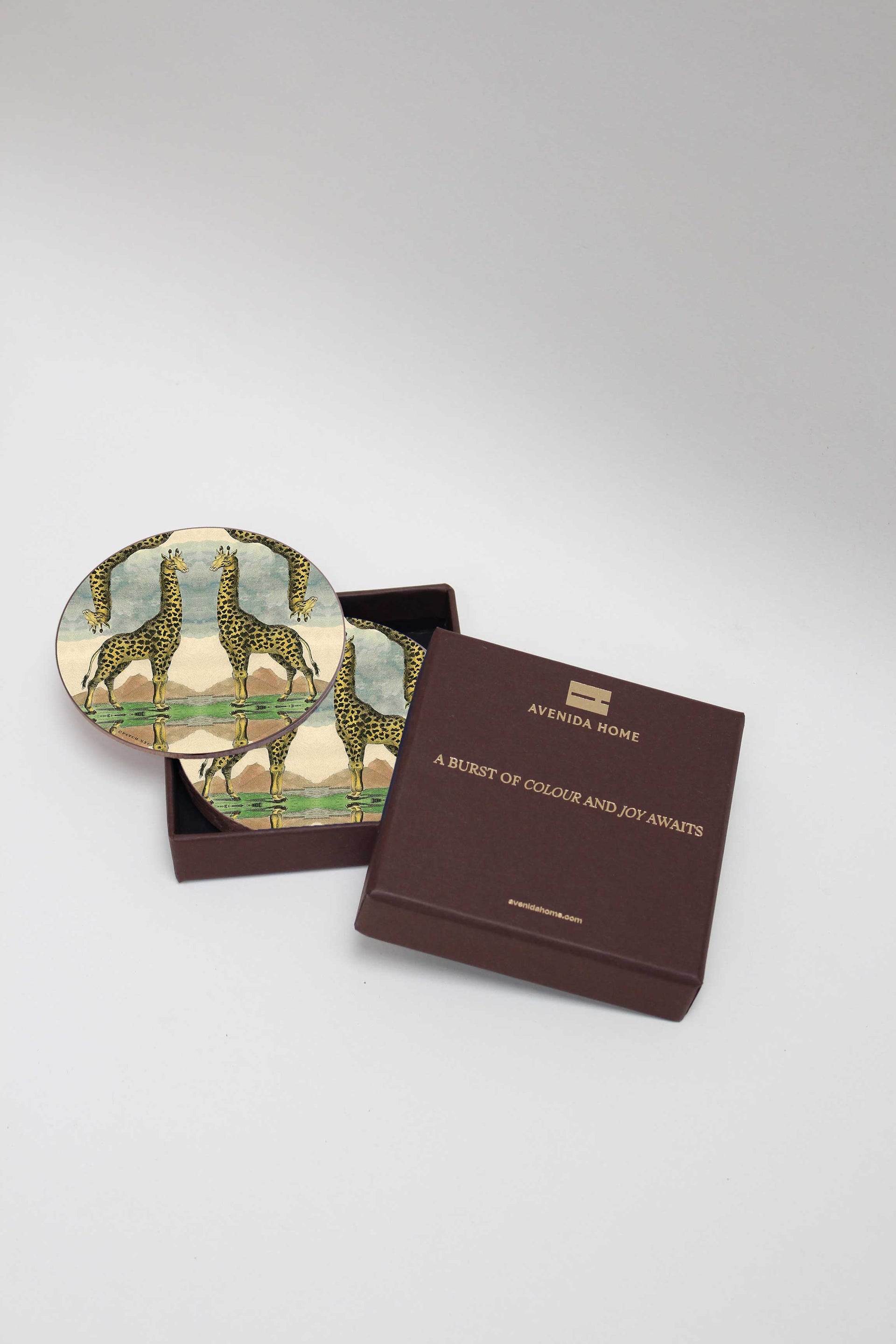 Giraffe Set of 4 Coasters