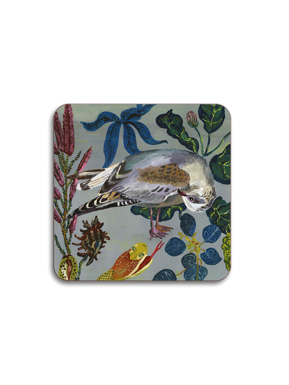 Gull Coaster