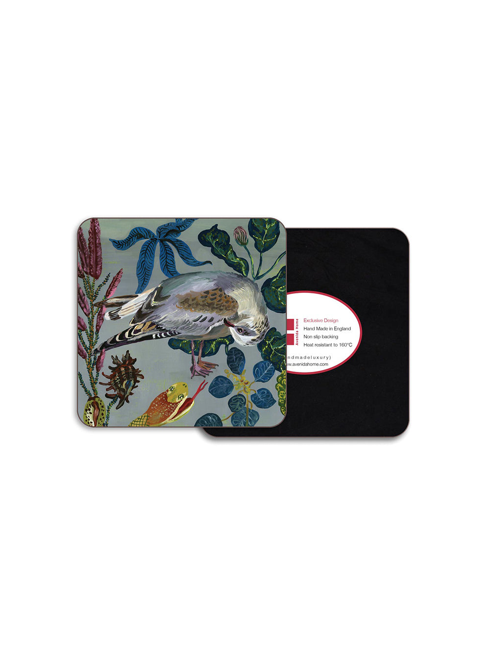 Gull Coaster