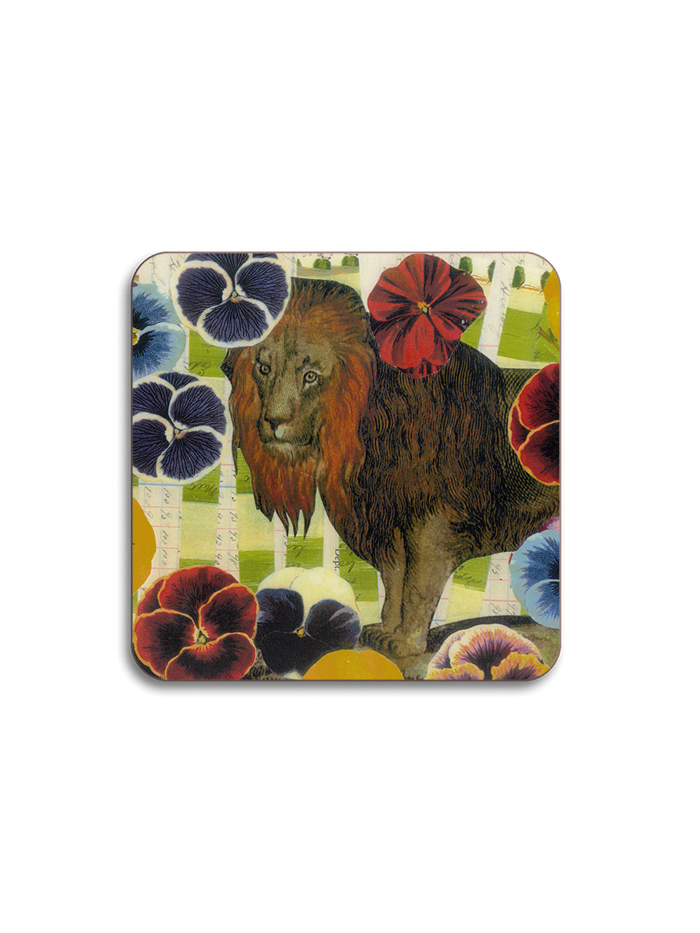 Lion Pansy Coaster