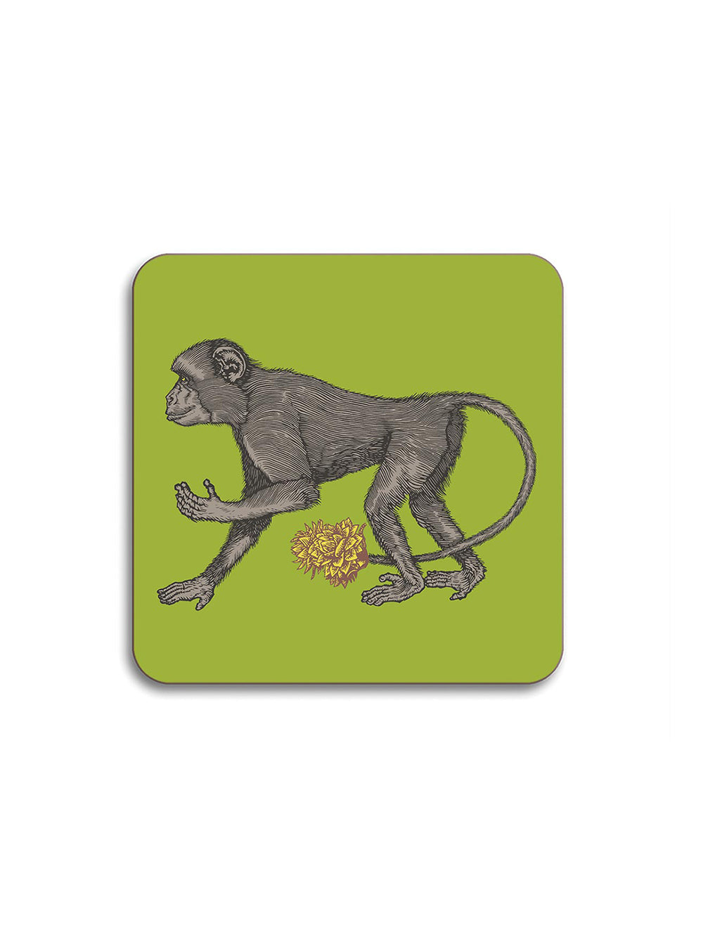 Monkey Coaster
