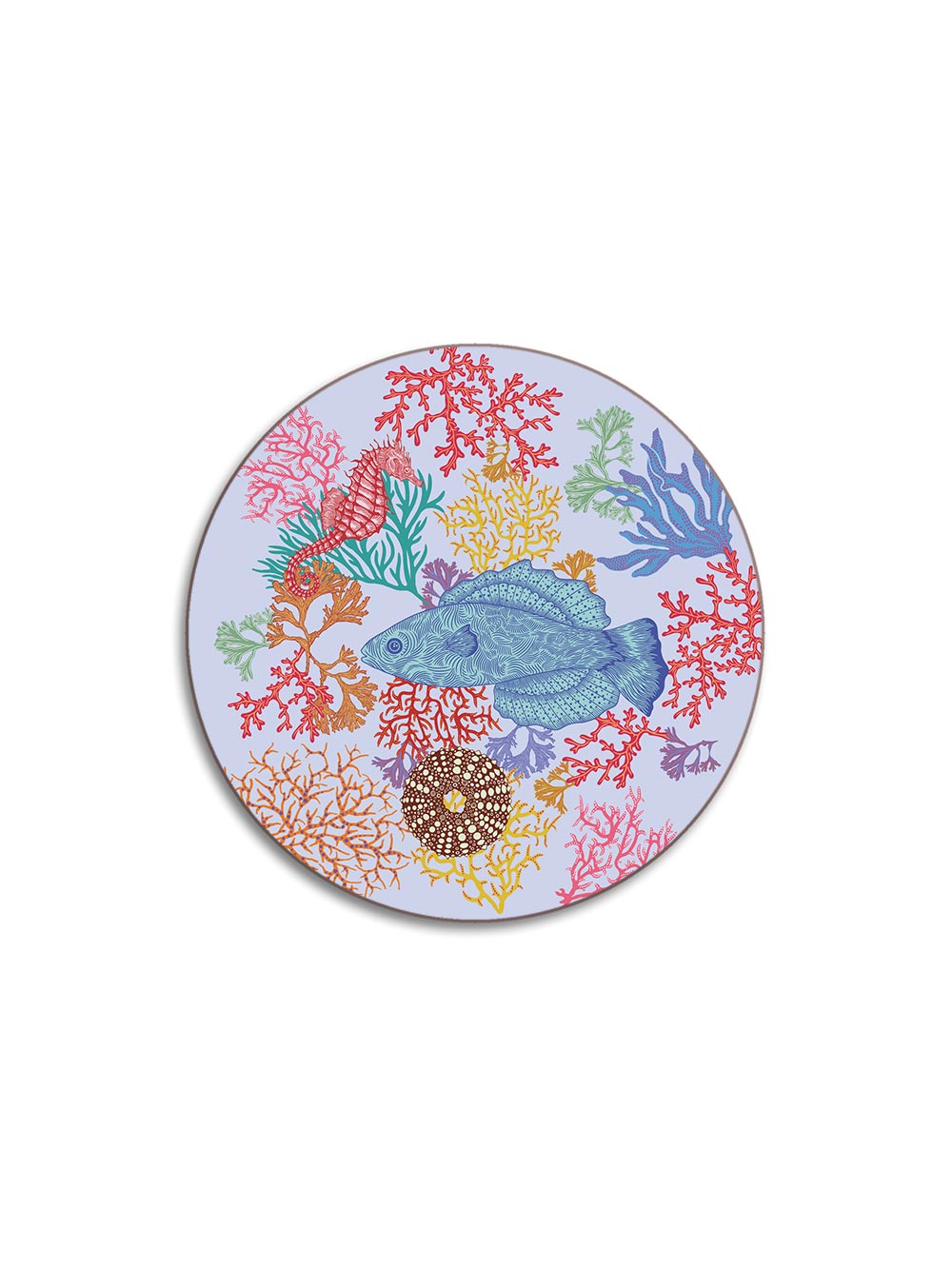 Reef Coaster