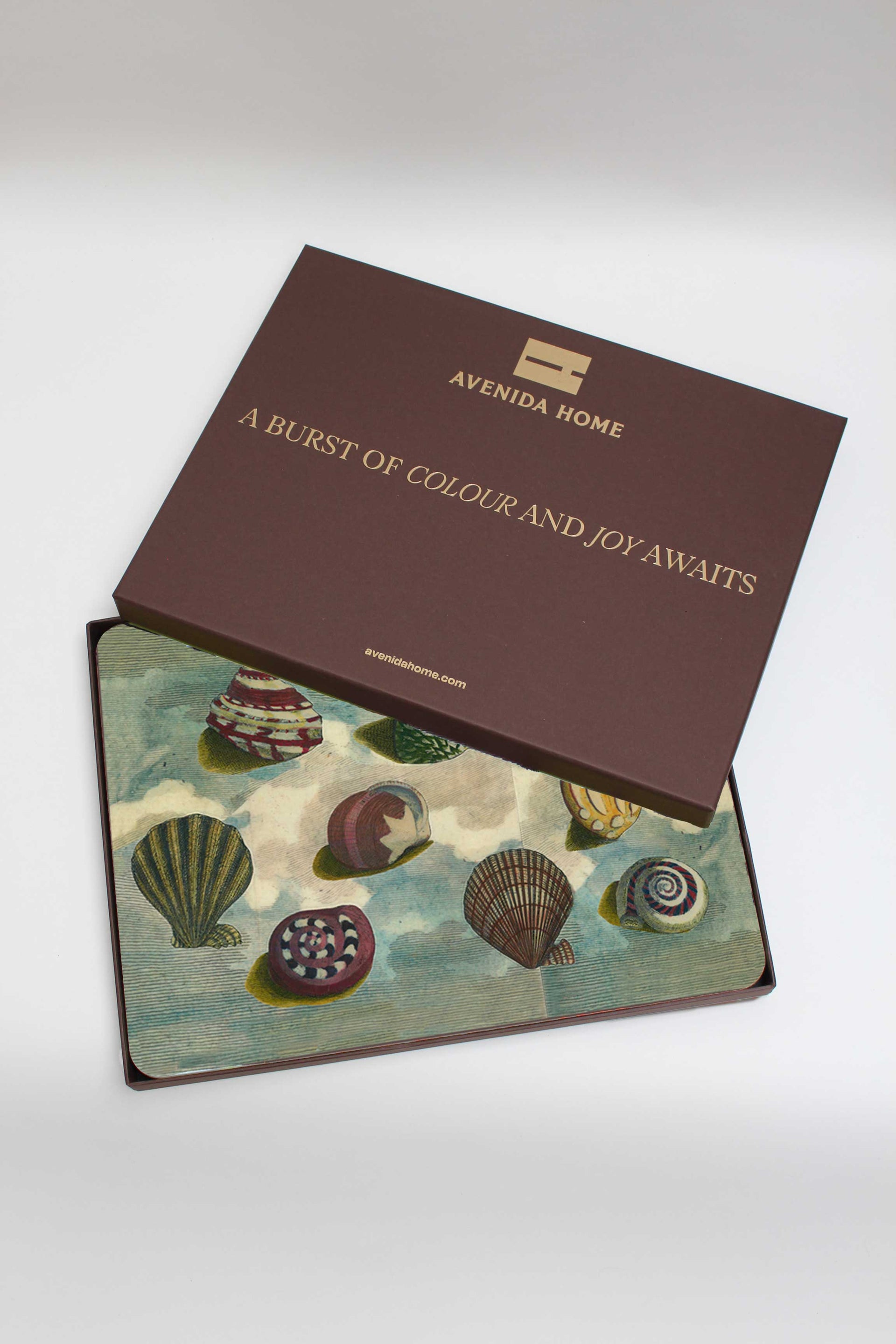 Shell Sky Set of 4 Table Mats