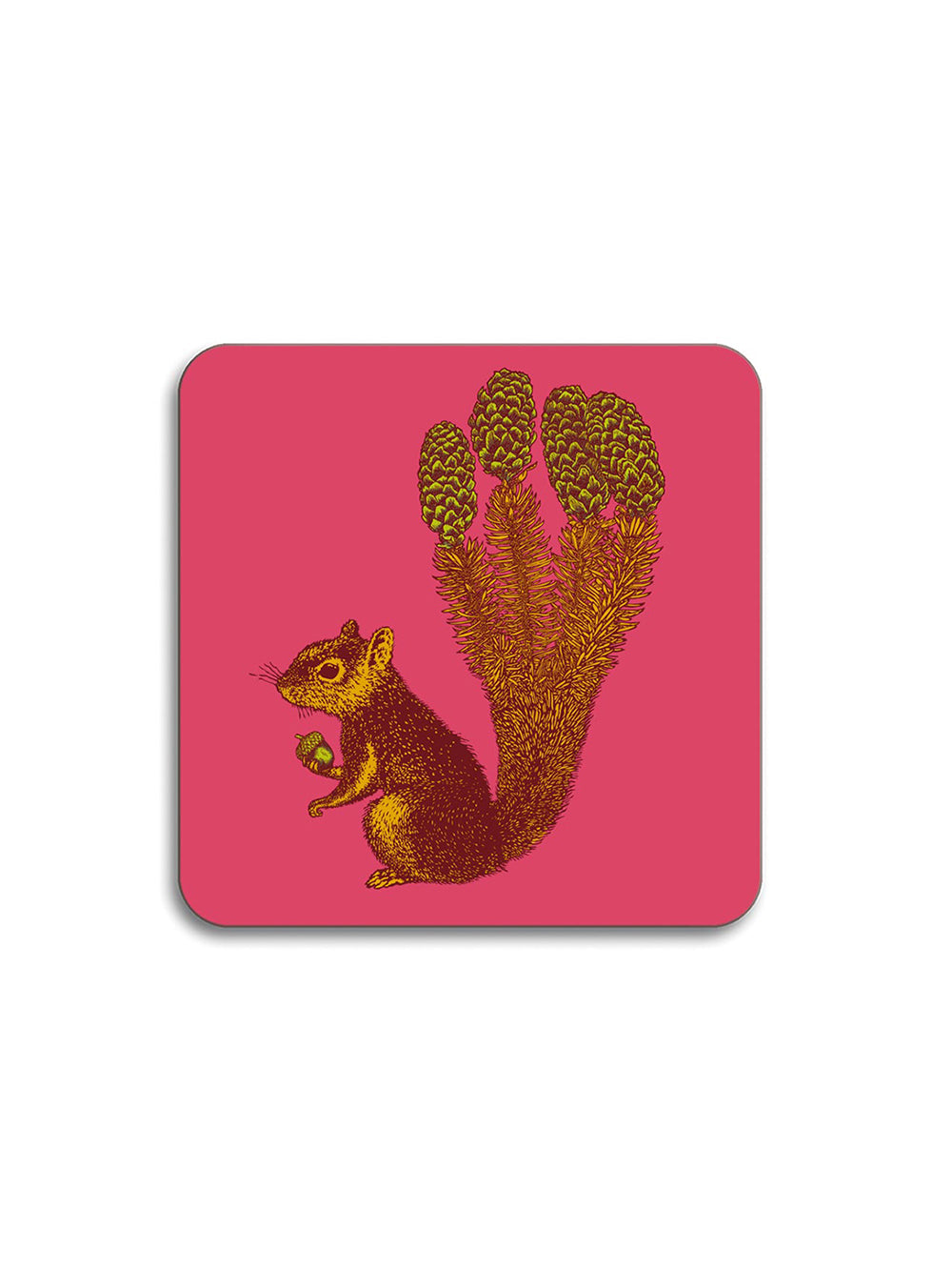Squirrel Coaster