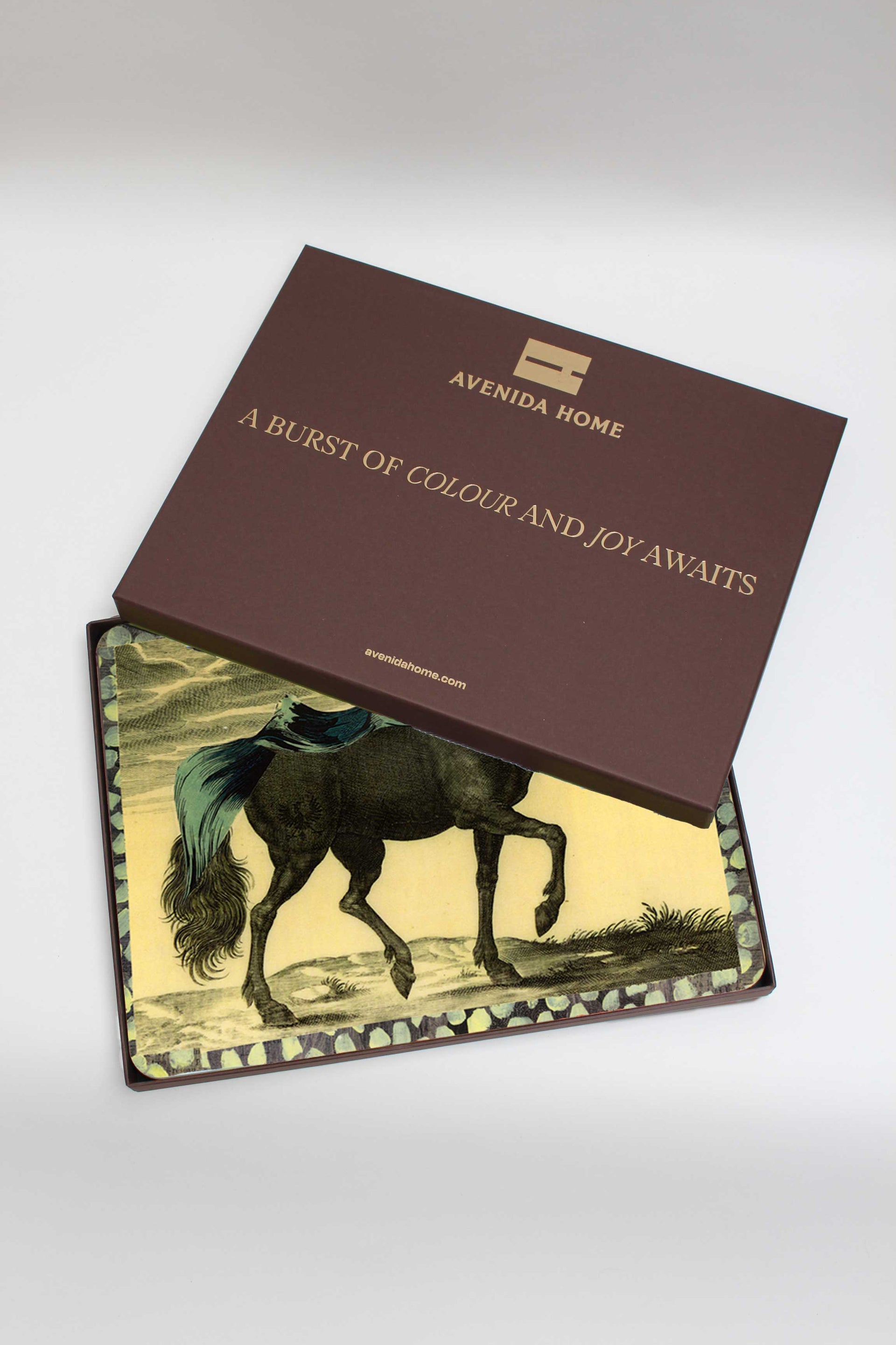Wave Horse Set of 4 Table Mats