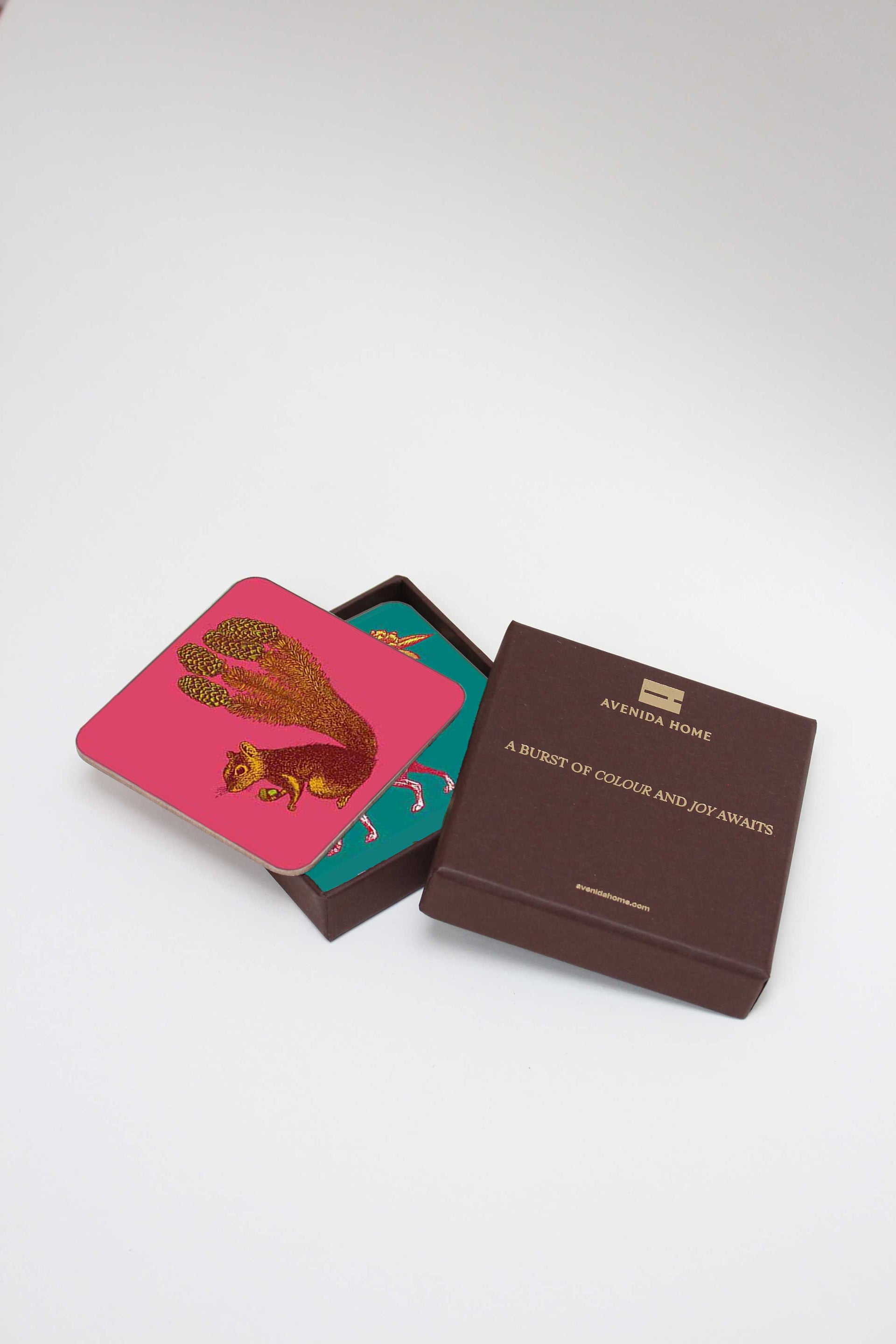 Woodland Animals Set of 4 Coasters
