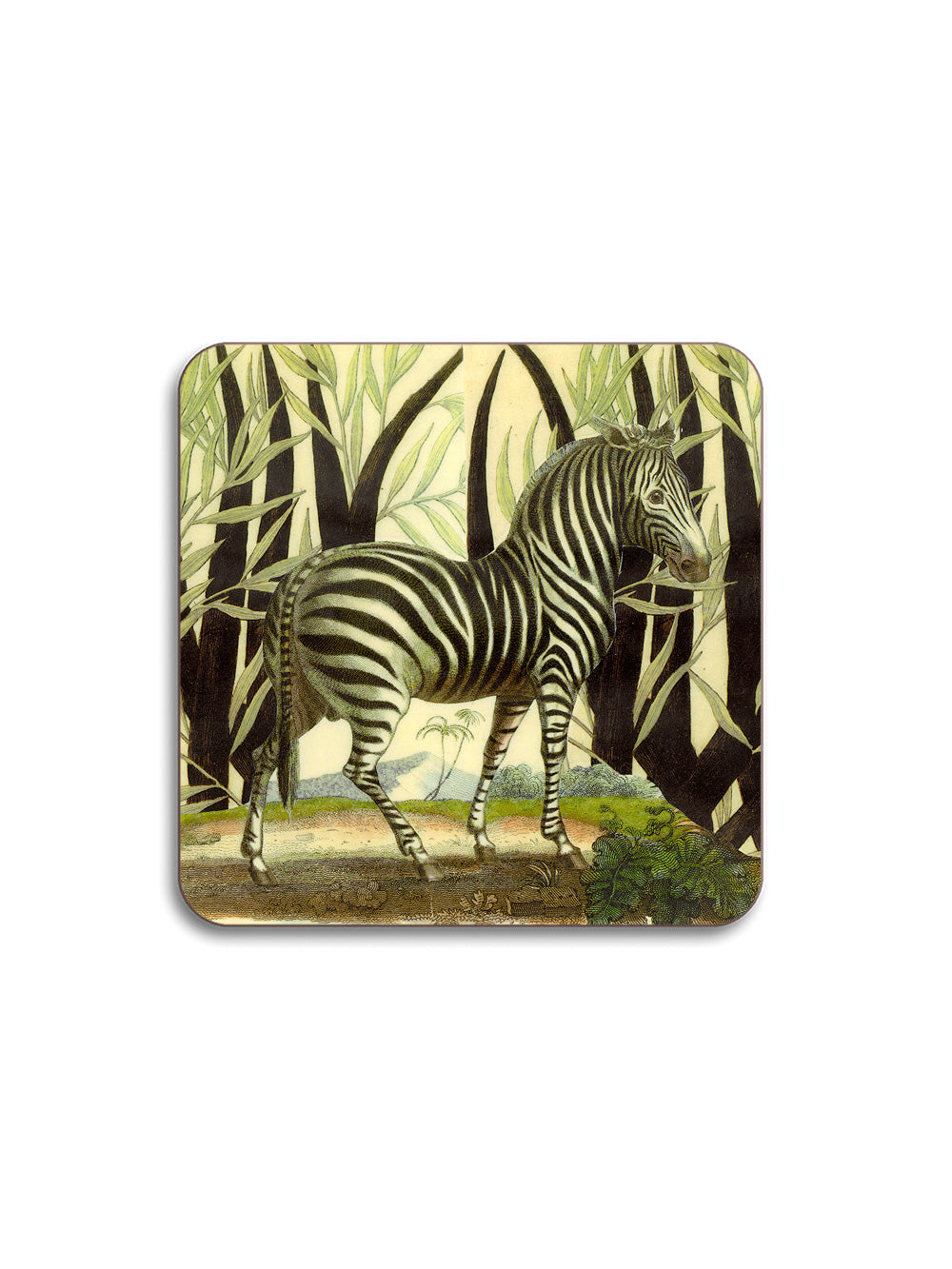 Zebra Coaster